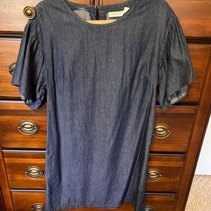 Women’s denim sheath dress